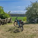 Moewennest *