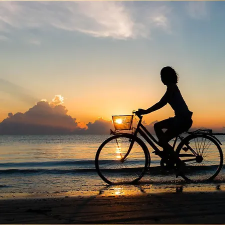 Apartament Moewennest