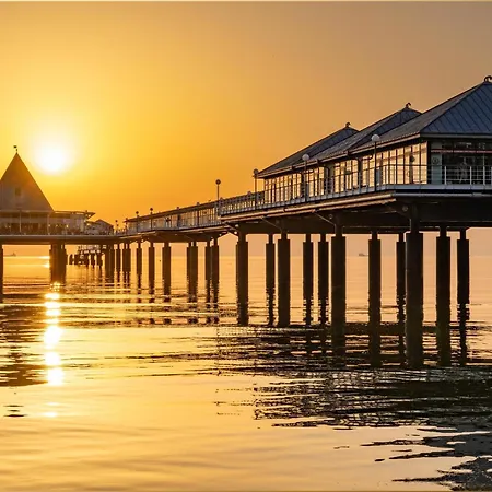 Moewennest * Heringsdorf