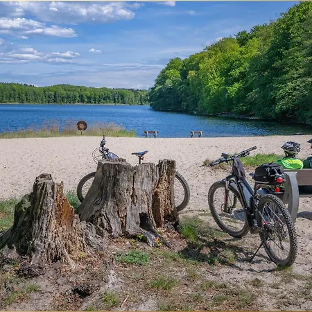 Moewennest Heringsdorf